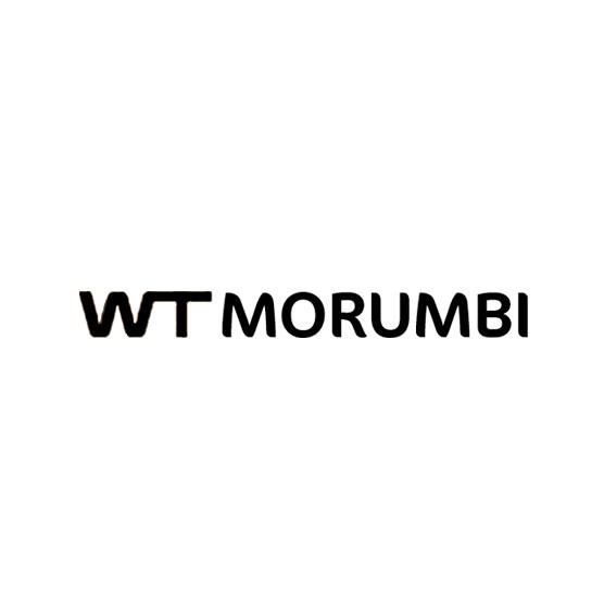 WT-MORUMBI.jpg